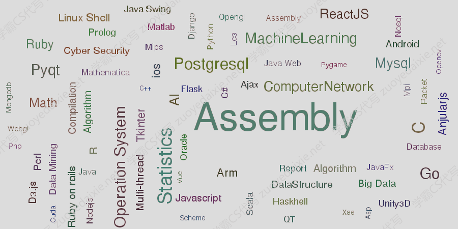 assembly代写 汇编代写 代写assembly